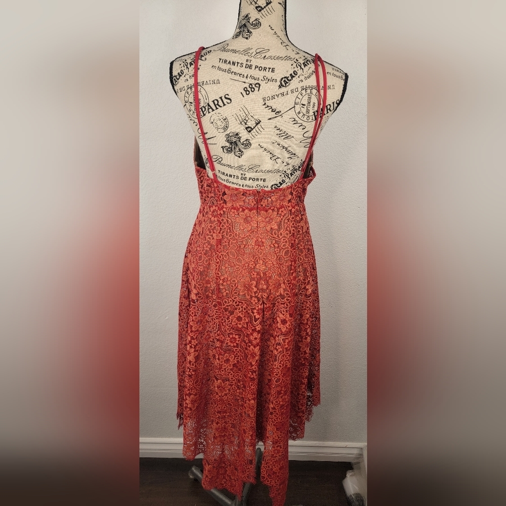 For Love And Lemons Red Lace Maxi Dress - Picture 6 of 15